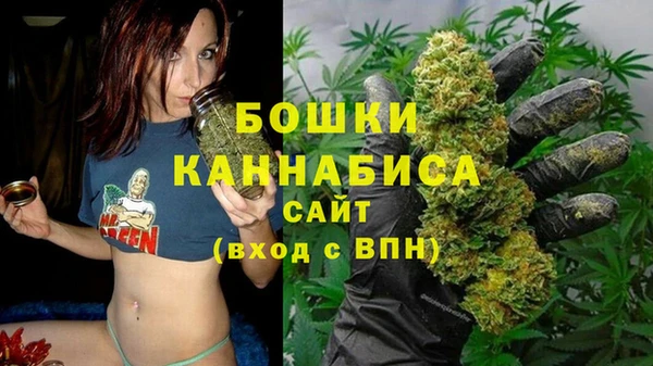 ALPHA PVP Михайловск
