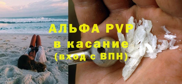 ГАЛЛЮЦИНОГЕННЫЕ ГРИБЫ Белоозёрский