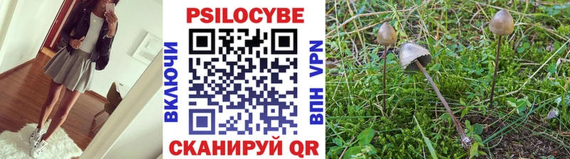 Галлюциногенные грибы MAGIC MUSHROOMS  Малоярославец 