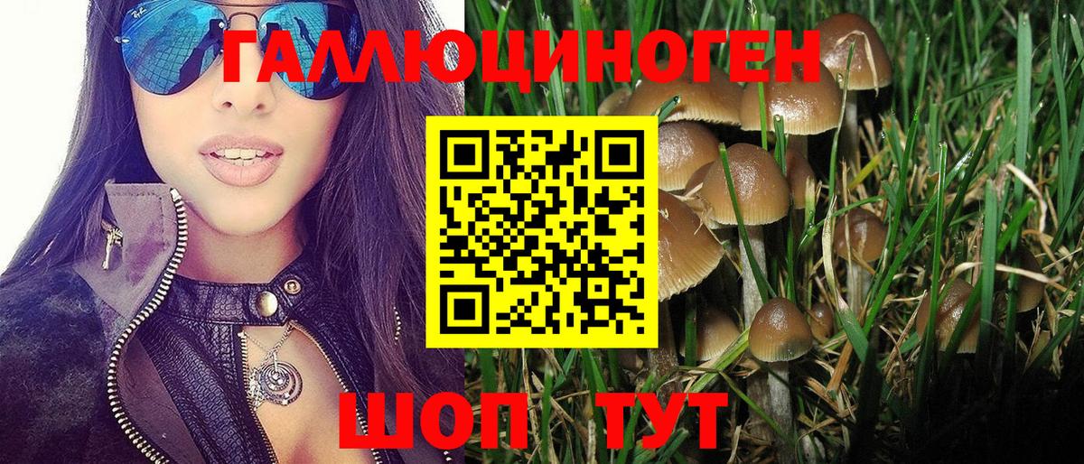 Псилоцибиновые грибы прущие грибы Малоярославец