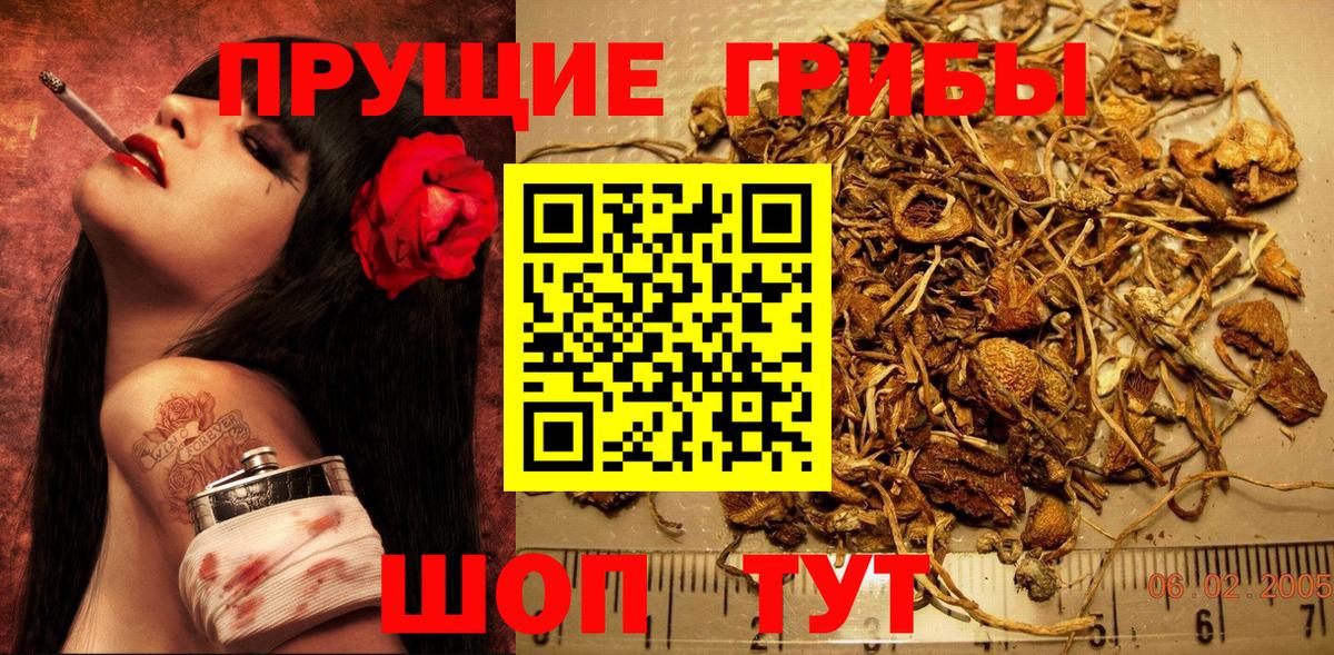 Малоярославец  Галлюциногенные грибы мицелий  Вход с VPN  Галлюциногенные грибы мухоморы 